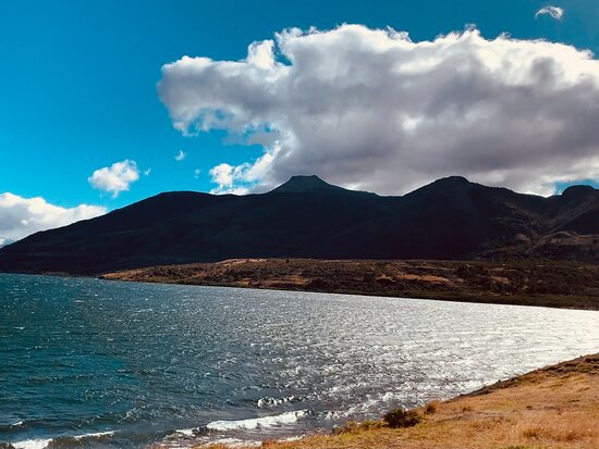 Cabalgata en Laguna Sofía, Pingo Salvaje